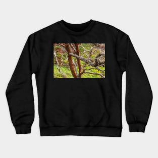 Lichen and Wildflowers Crewneck Sweatshirt